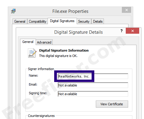 Screenshot of the RealNetworks, Inc. certificate